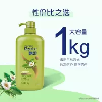 飘柔蓬松洗发水控油男士女士日常护理绿茶双效去油型1KG洗发露膏柔顺