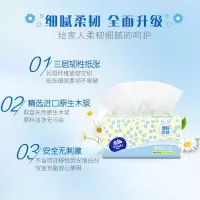 维达(Vinda) 维达细韧软抽3层XS码100抽×24包 V2607