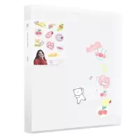 得力72628 文件夹整理袋 / 60页资料册 / 颜色随机(1个)(定制)