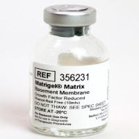 Corning® Matrigel® 生长因子减量(GFR) 基底膜基质,不含酚红,不含LDEV,10 mL