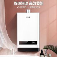 万家乐 12升热水器燃气热水器燃热 智能恒温仿生轻音 热水器天然气 JSQ24-12W2