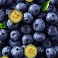 佳沃蓝莓14+ 箱装 125g*12盒