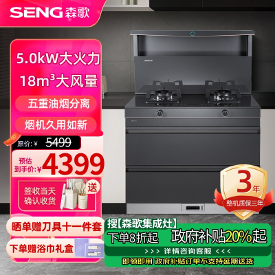 森歌(SENG)集成灶L1 消毒柜款 二星级消毒外观美 大容量 一体式吸烟机燃气灶具 抽油烟机燃气灶灰色液化气