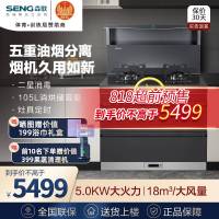 森歌(SENG)集成灶L1 消毒柜款 二星级消毒外观美 大容量 一体式吸烟机燃气灶具 抽油烟机燃气灶 灰色天然气
