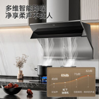 松下 抽油烟机家用侧吸式吸油烟机 21大风量大吸力 油烟机 FV-A621C61