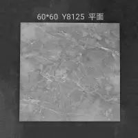 Hittery 瓷砖 仿古砖 Y8125 600*600mm 厚度10±0.5mm 哑光 4片/箱 5箱/组(单位:组)