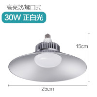 温特孚工矿灯工厂灯车间照明灯大功率灯泡30W螺口