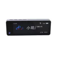 顶火 GMD-P2 4G工牌记录仪 256G