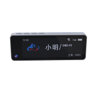 顶火 GMD-P2 4G工牌记录仪 256G含系统