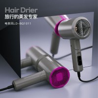 龙的(longde)家用便捷折叠电吹风LD-BQ1011