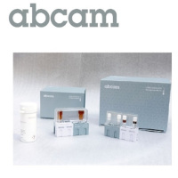 abcam/艾博抗,ab102536,BCA蛋白Assay 试剂盒