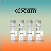 艾博抗 ab109714 ATP synthase Enzyme Activity MicroplateAssayKit