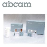 abcam/艾博抗,ab224335,ab224335;Anti-ALP antibody