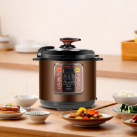 熊猫 多功能电压力锅TRYLG1603