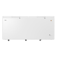 海尔(Haier)829升冷柜 顶开双门超大容量 大冷冻力保温性能强 单温冷藏冷冻转换 BC/BD-829HEZ 白色