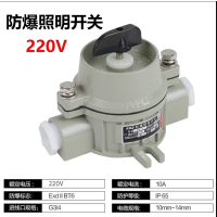 YFGPH SW-10防爆照明开关10A转换开关220V 380V国标/ 防爆照明开关[国标220V]