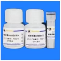 Beyotime 蛋白酶磷酸酶抑制剂混合物(通用型, 50X) P1046