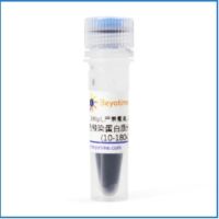 BeyotimeP0068,彩色预染蛋白质分子量标准(10-180kD)瓶