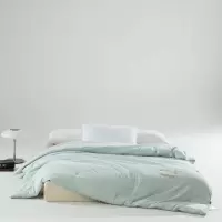 无印良品(MUJI)纯享锦棉蚕丝被MUJI-B23-63