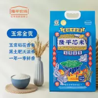 袁隆平 大米五常金贡(稻花香2号)5kg