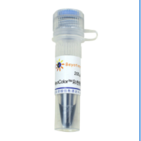 ST768-100ml,1M Tris-HCl,pH6.8,1瓶