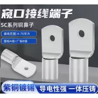 接线端子; 铜接线端子+SC10-8 ;额定电压(V):500; 一个