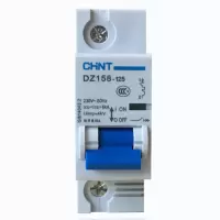 正泰(CHNT)空气开关断路器 DZ158-125 1P 125A(R) 2个装