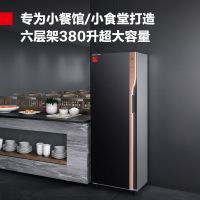 德玛仕(DEMASHI) 消毒柜 商用 消毒柜家用立式 消毒碗柜 380L大容量一星级紫外线XDZ380-F3