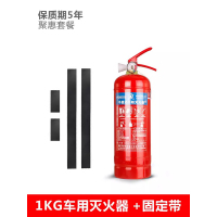 商铺用干粉手提式车载消防器材灭火器箱套装 1kg车用灭火器+固定带