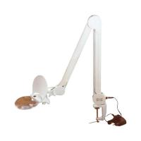 夹台LED工业放大镜灯