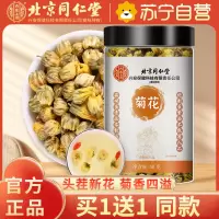 [买1送1同款]北京同仁堂菊花茶杭白菊正宗桐乡胎菊50g茶叶杭州菊花花草茶搭金银花茶