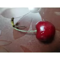 车厘子,J级以上,当季鲜果,袋装发货