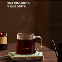 大宇 加热杯垫保温杯垫恒温杯垫暖茶水杯垫加热电热杯垫桌面小暖垫IC02 豆荚绿