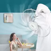 美的(Midea)电风扇壁扇吊扇360度摇头无极调速FD40-11A 16寸