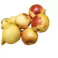 冬枣(精 品)