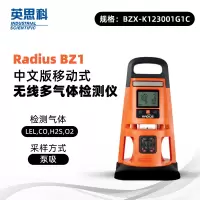 英思科 Radius BZ1 BZX-K123001G1C 可测LEL(C5H12),CO,H2S,O2泵吸