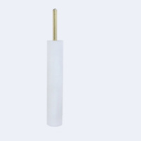 铂圆盘电极 Pt110 φ1