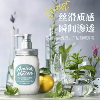 阿蜜浓梅森 氨基酸洁净控油平衡护发素 450ml