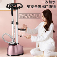 苏泊尔(SUPOR)QC系列 挂烫机家用电熨斗大蒸汽熨衣服双杆熨烫机含熨衣板 GT13CP-20