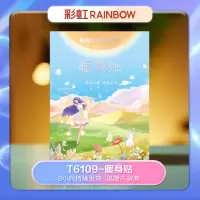 彩虹 货号:T6109暖身贴轻薄款(12片装)