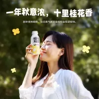 椰子知道0糖金桂鲜椰汁280ml*6瓶 低热量0添加0胆固醇