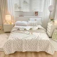 红豆家纺 臻礼云丝被 f