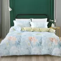 水星家纺 DH鸿蒙 四件套