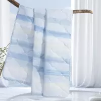 水星家纺 DH契尔希夏被200*230