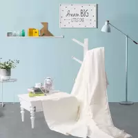 水星家纺 DH奥斯丁玫瑰七孔春秋被