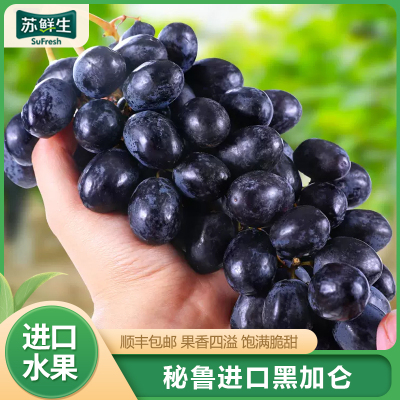 [苏鲜生]秘鲁黑加仑黑提 净重2斤 提子无籽黑葡萄新鲜水果