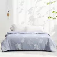 水星家纺 DH若影雅致蚕丝被 宁静蓝