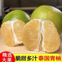 [熊猫鸟]泰国进口青皮白心柚 2个 中果 单果净重1.6-2斤 当季新鲜孕妇水果