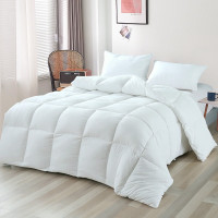 洁丽雅(grace)原棉暖绒被200*230cm JLY-CB911