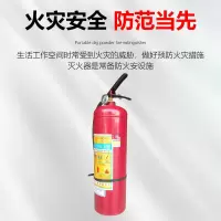 永安 灭火器车载灭火手提式干粉灭火器 8kg干粉灭火器